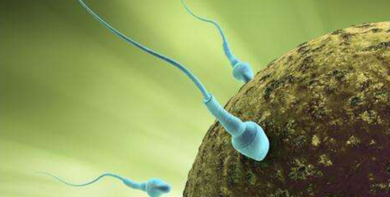 体育指导与管理