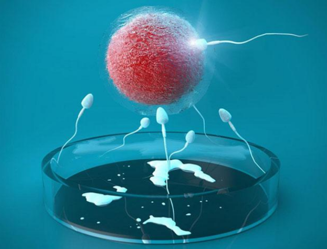 例假前测出两条杠一深一浅