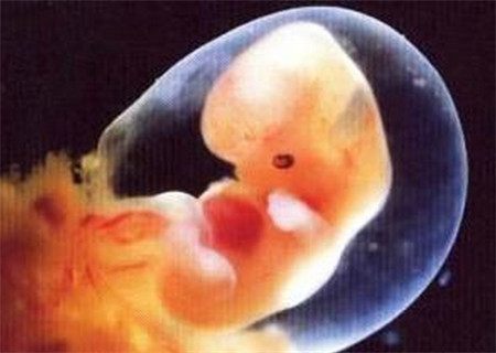 佛说意外怀孕的孩子都有灵性视频