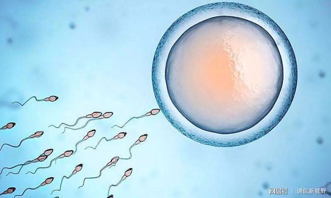 例假前测出两条杠一深一浅