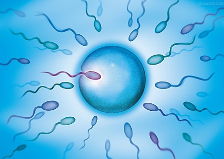 保胎禁止吃的蔬菜