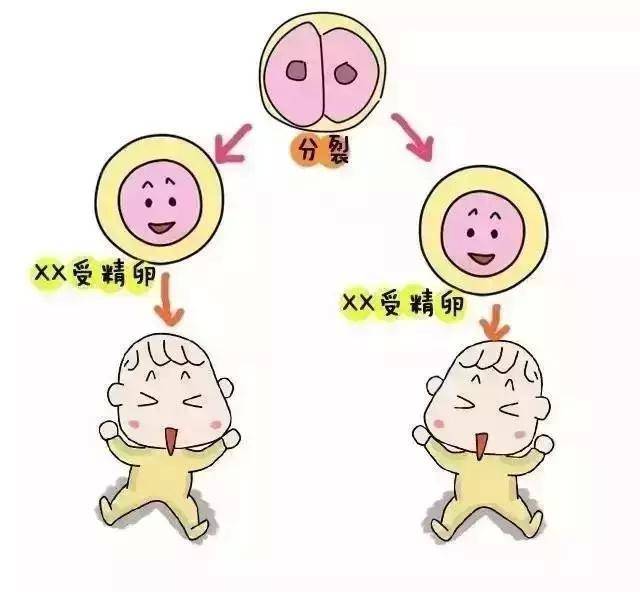 夫妻共同还公积金贷款