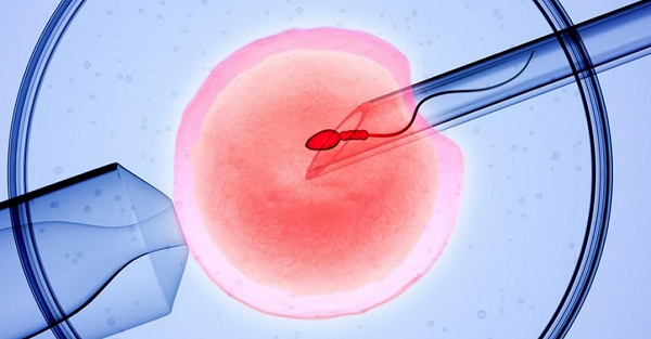 来月经能喝奶茶吗热的