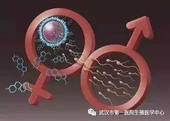 兰州试管婴儿医院